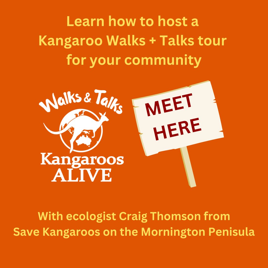 TONIGHT: #Kangaroo Walks and Talks program launch on our Facebook and Youtube channels 7pm 

#education #citizenscience #wildlife #wildlifeeducation #worldkangarooday #australia #firstnations #naidoc #conservation #tourism #launch #ecotourism #connection #ecology #coexistence