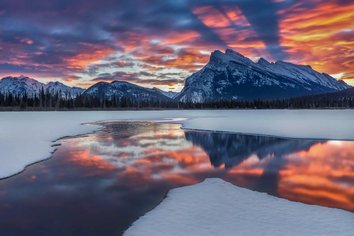 Jason Scott 🇨🇦 tweet media
