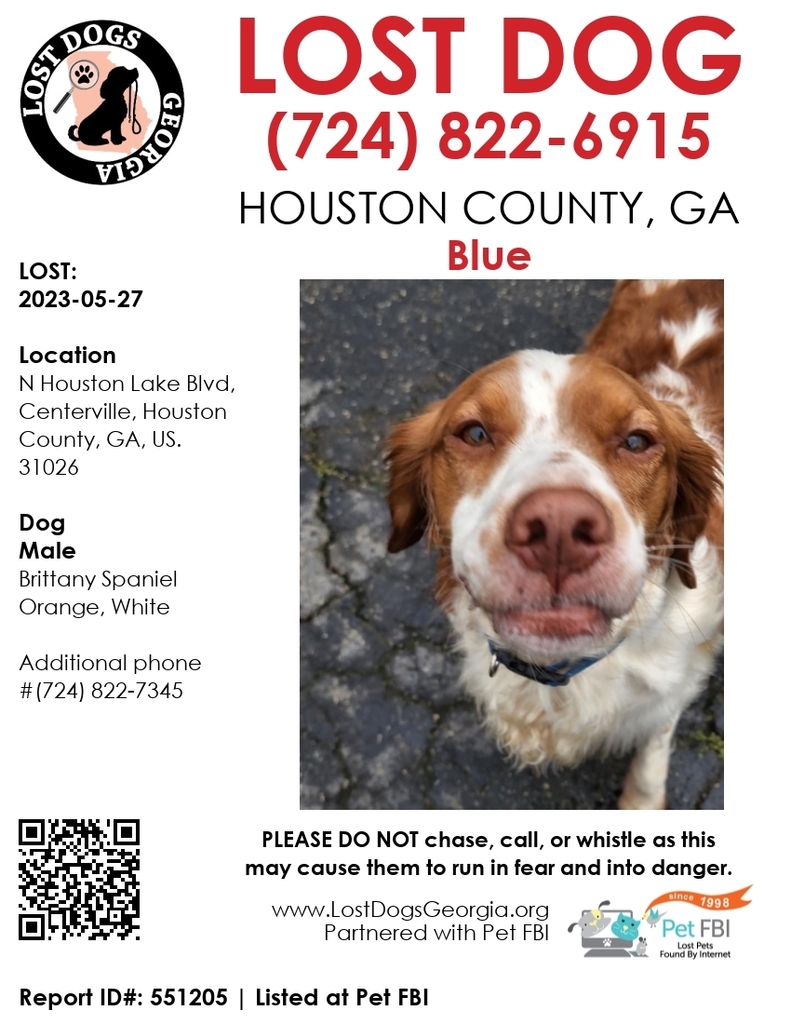 ift.tt/l7vbpg5 ift.tt/IqYxUuO ift.tt/AV2FcBn Lost Dogs Georgia #LOSTDOG #GA - Blue - lost on 2023-05-27 - DESCRIPTION: #Male #Brittany Spaniel #Orange/White - LOCATION LOST: N Houston Lake Blvd, Centerville, Houston County, GA, US.  31026
 
PLEASE C…
