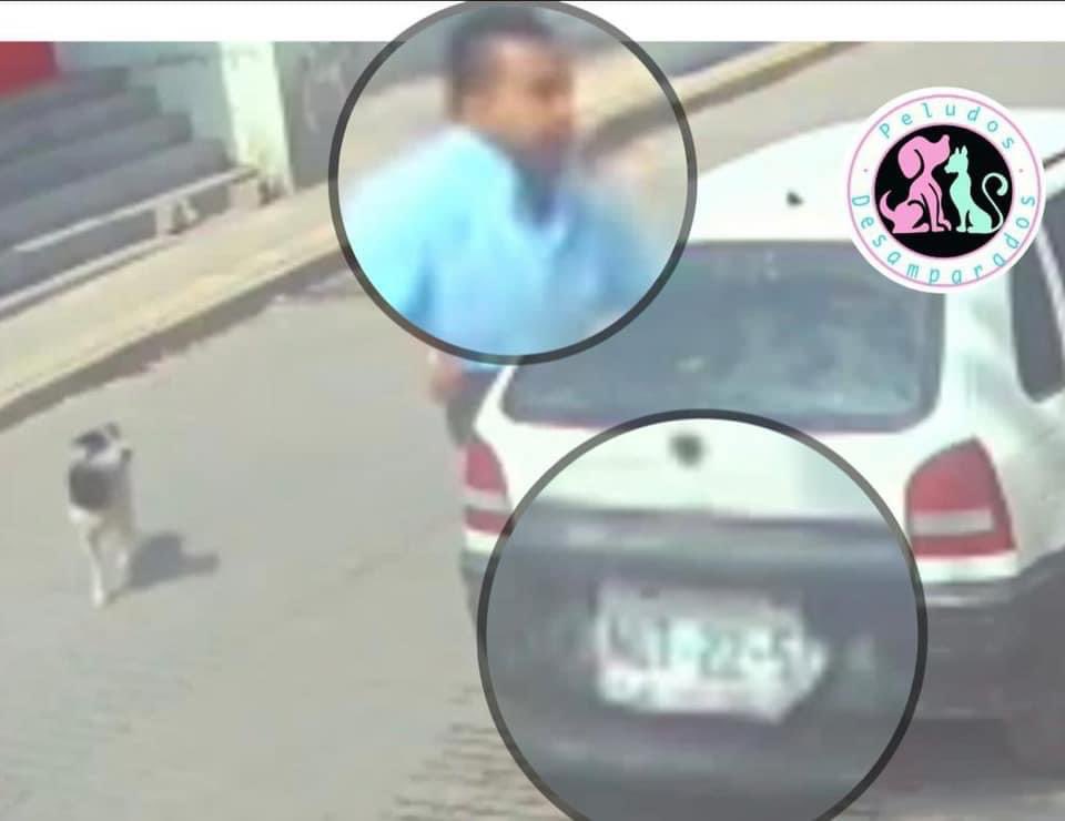 roberto_ruizg's tweet photo. ¿ Reconocen a este HDLCH 🤬 ? 

Es el pendejo que aventó a un pobre perro a un cazo con aceite hirviendo en Tecámac ; @Edomex 👇🏻 @C5Edomex https://t.co/sogVtMcSXV