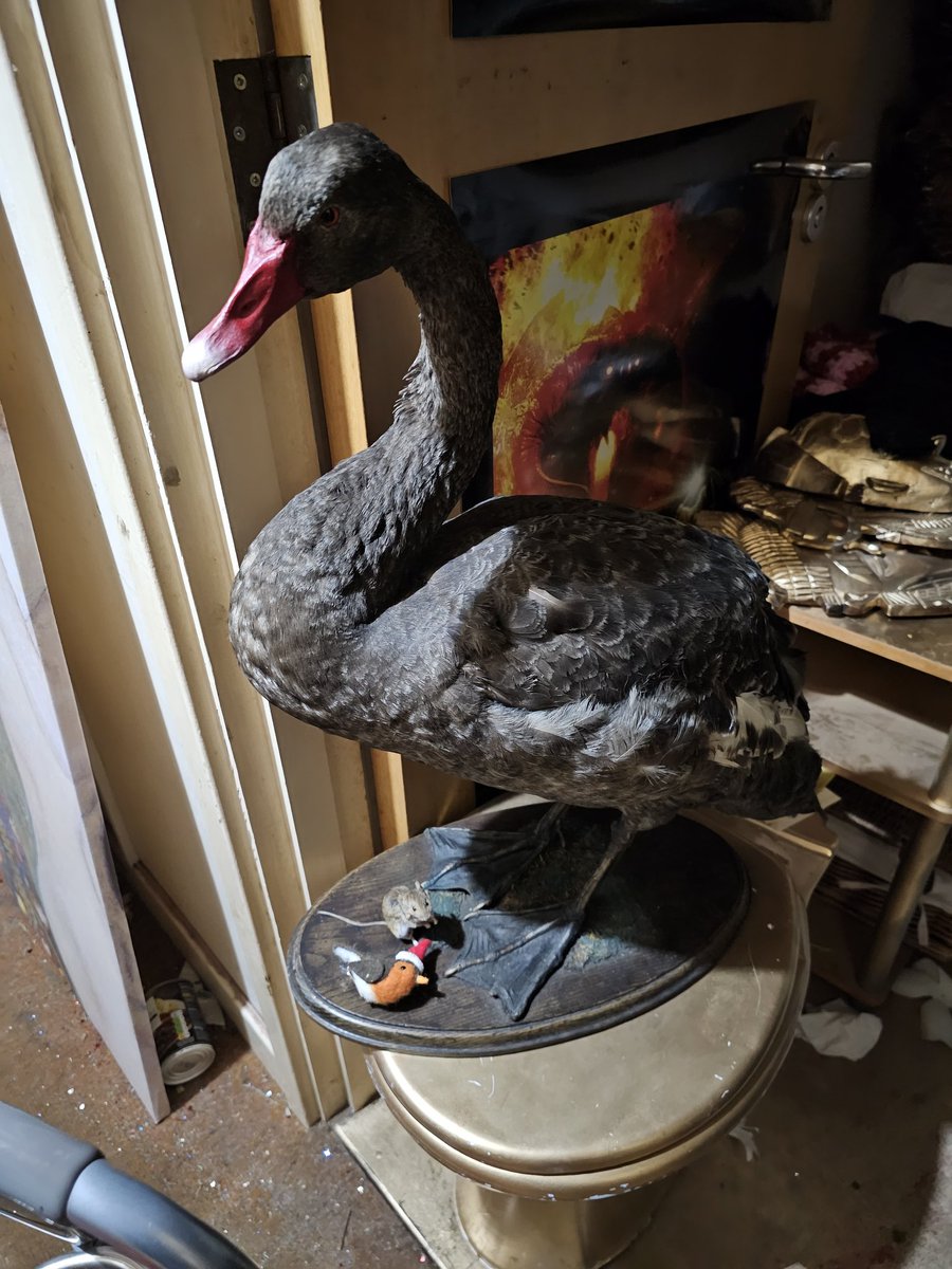 NigelCutteridge's tweet photo. 'ANGELVILLE' Part One ~ #Angelville #ThinSpace #ThinPlace #BLACKSWAN @blackswan @blackswan_drent @natpdotcom @nataliepbr @natalie025 @natalieportman5 @2Natalieportman @NataliePortmanL @poolsinthelawns @piratesofthec14 @piratesoftheca1 @piratesoftheca #JohnnyDepp #JohnnyDeppWon #JohnnyDeppKeepsWinning #JohnnyDeppIsASurvivor #JohnnyDeppRises #JohnnyDeppIsAnAbuser #JohnnyDeppIsMyHero