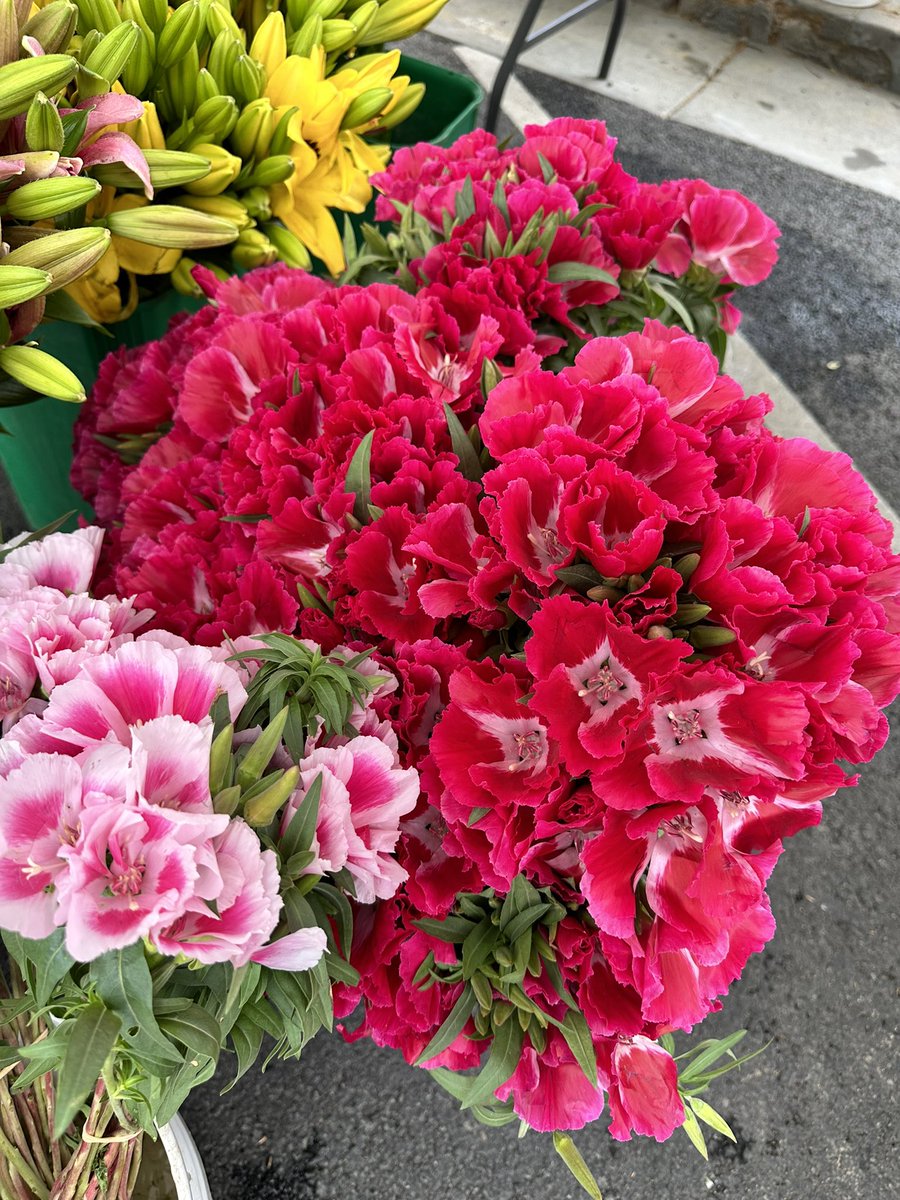 🌹🌷💐