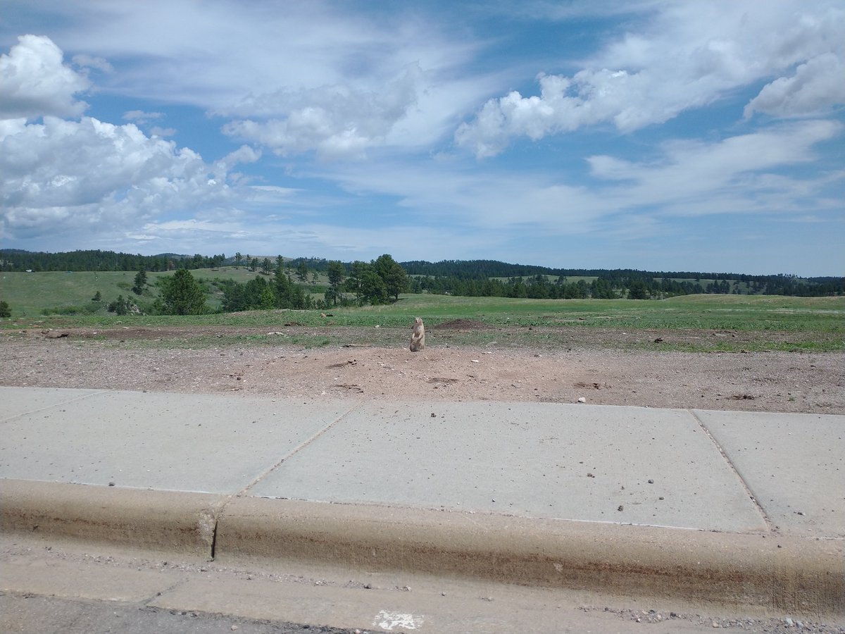 🏍️ Marly 👽 tweet media