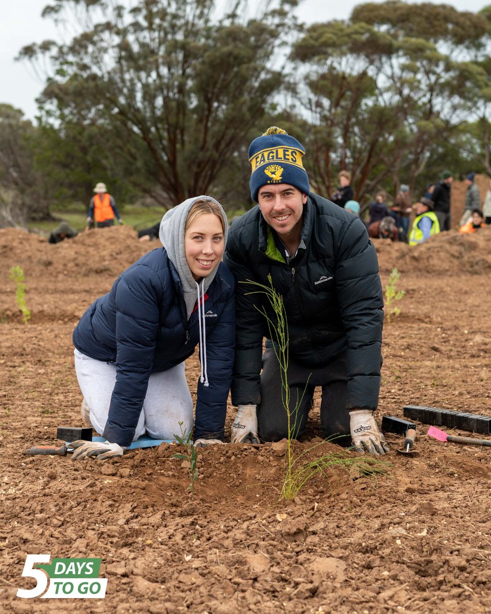 🖐 days to go! The 2023 Bio·R Planting
Festival begins this Saturday! 🌱💚

🗓 10-11, 17-18 &amp; 24-25 June
⏰ 9:30am
📍 Frahns Farm (Frahns Farm Rd Site)

Register at bior.org.au/23

#bior #biorplantingfestival #frahnsfarm #planting
#treeplanting #volunteering