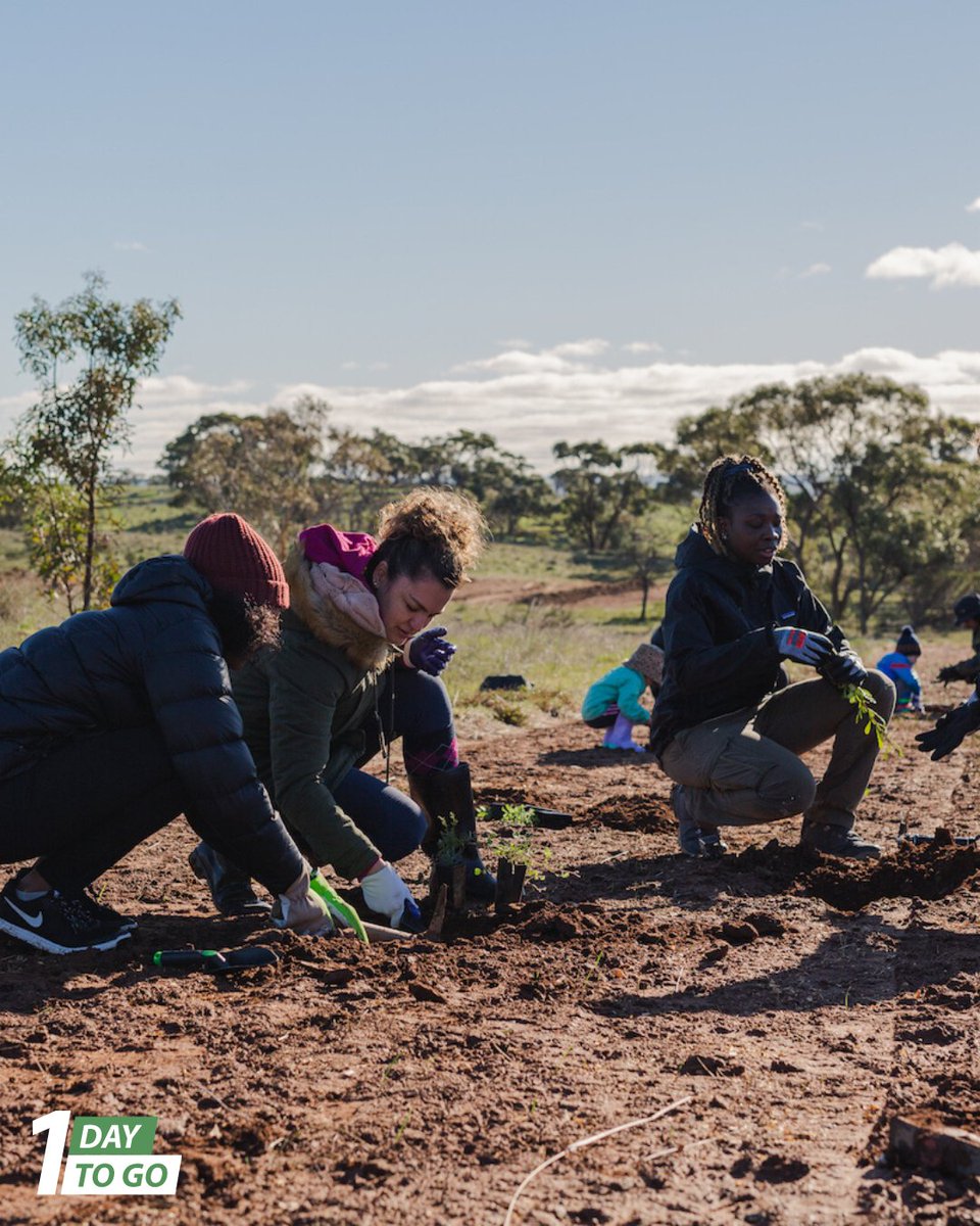 ☝️ day to go! The 2023 Bio·R Planting Festival
begins tomorrow! Register at bior.org.au/23 💚🌱

🗓 10-11, 17-18 &amp; 24-25 June
⏰ 9:30am
📍 Frahns Farm (Frahns Farm Rd Site)

#bior #biorplantingfestival #frahnsfarm #planting
#treeplanting #volunteering #southaustralia