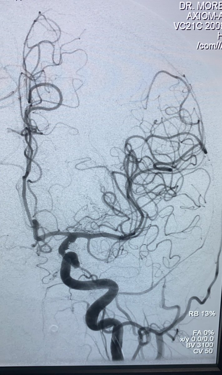 Javier Luis Moreno tweet media