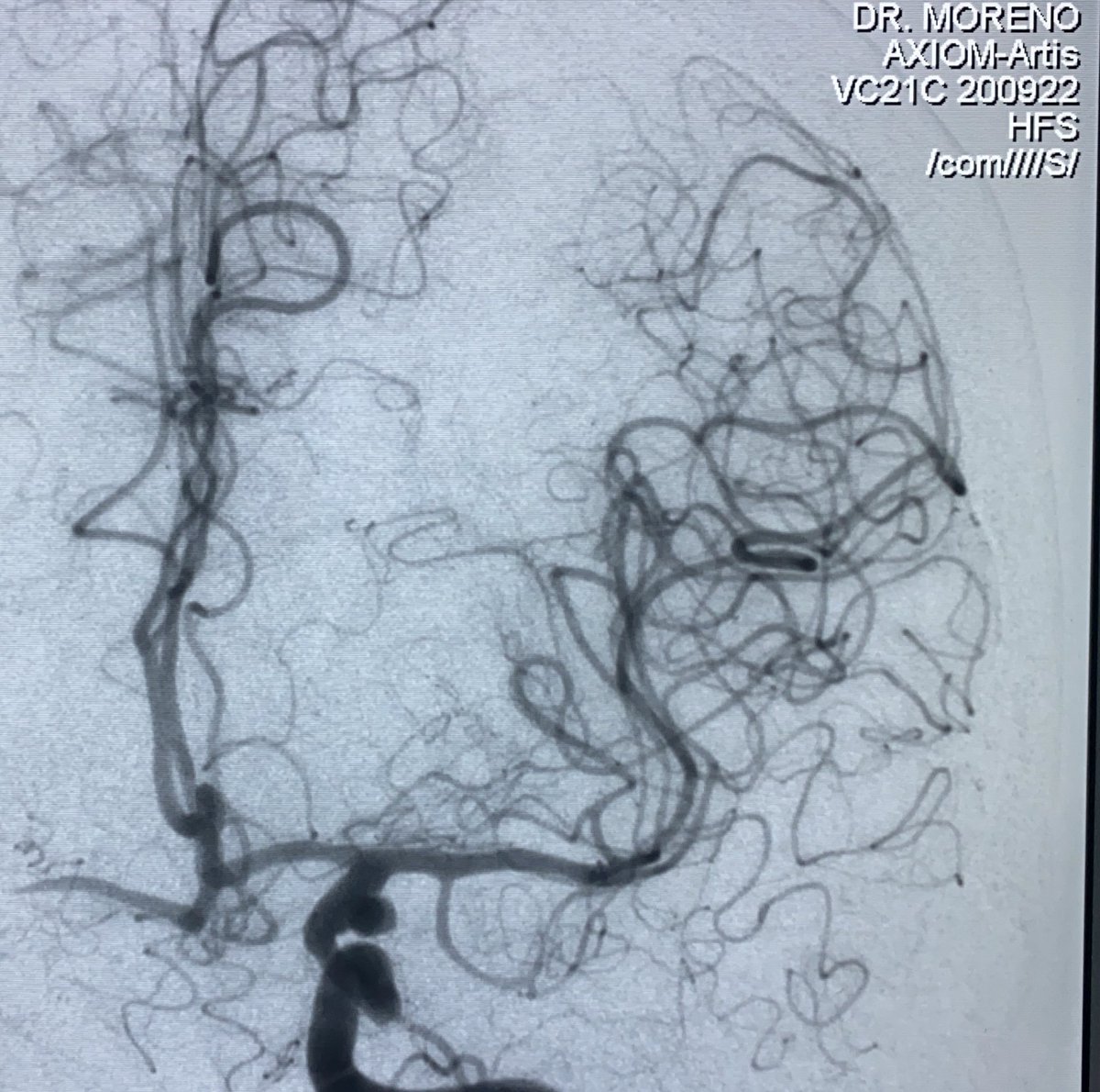 Javier Luis Moreno tweet media
