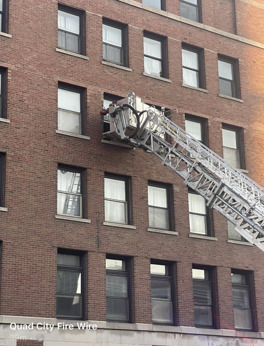 EliseEdens tweet media