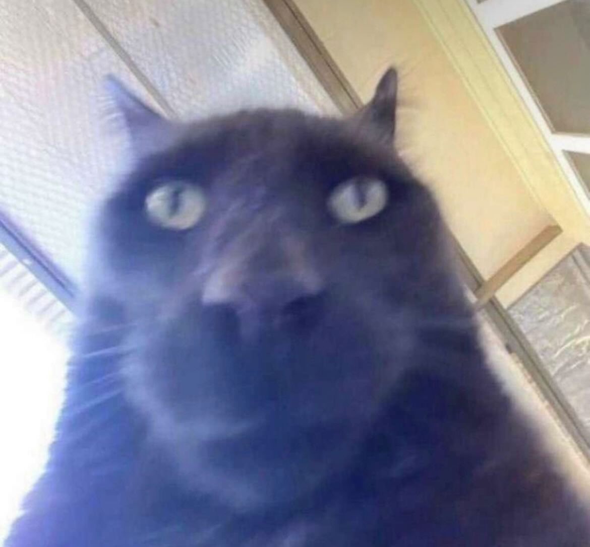 my genuine honest reaction