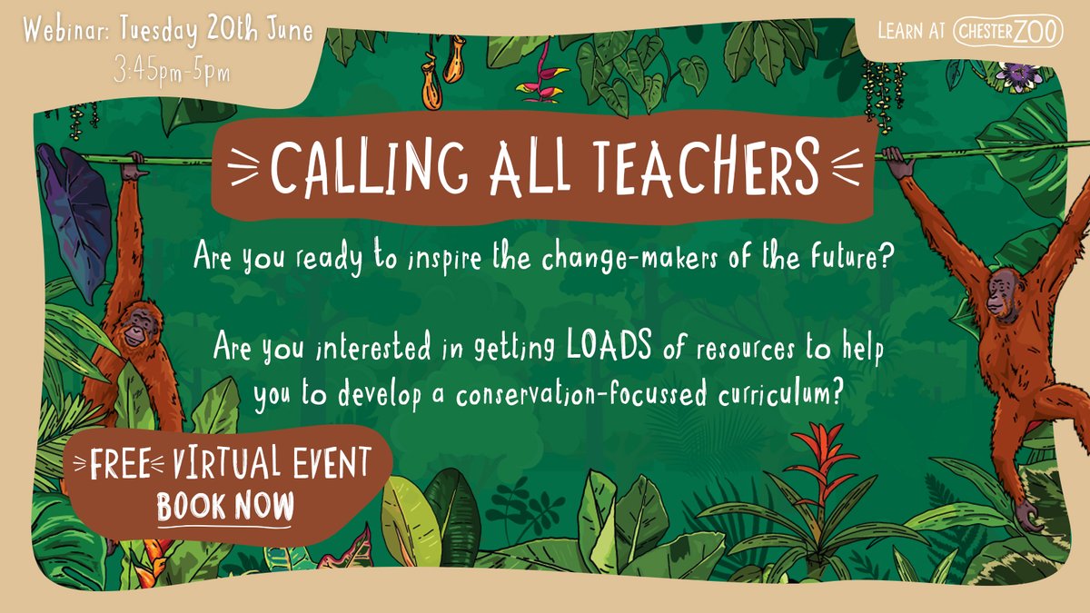 TEACHERS! Looking to embed #conservation &amp; #sustainability within your lessons but aren't sure the best approach?🤔

Join us for a FREE webinar focusing on #PalmOil🌴

Listen to inspiring stories of whole-school engagement &amp; passionate young change-makers

chesterzoo.org/events/sustain…