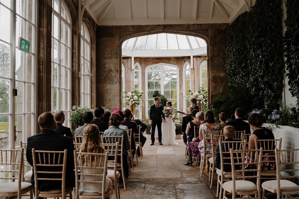 Lisa Davis tweet media