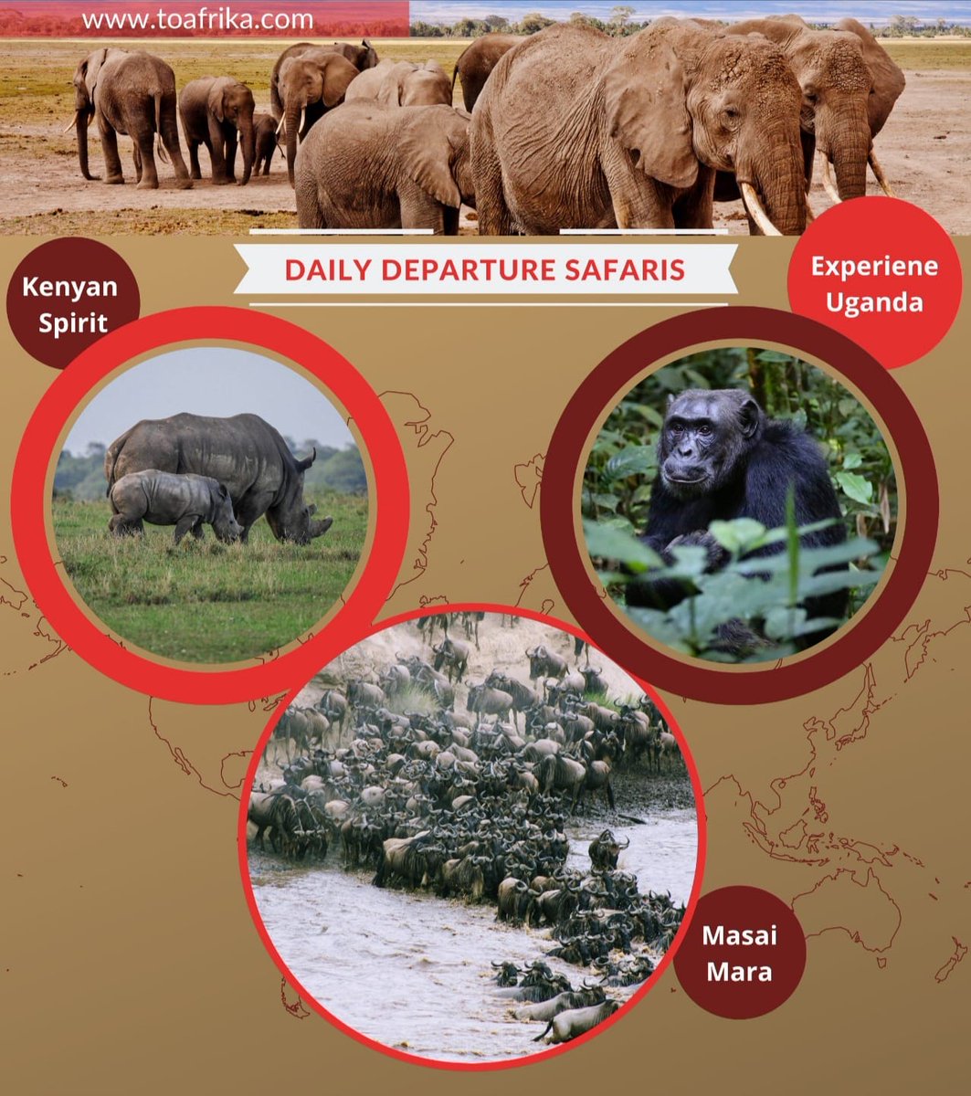 Embark on the ultimate African adventure with our daily departure safaris to Amboseli, Maasai Mara, and Uganda! Witness breathtaking landscapes, and encounter incredible wildlife.

For bookings: 
📲+254 – 748 717 387
📧info@toafrika.com

#Safari #Amboseli #MaasaiMara #Uganda