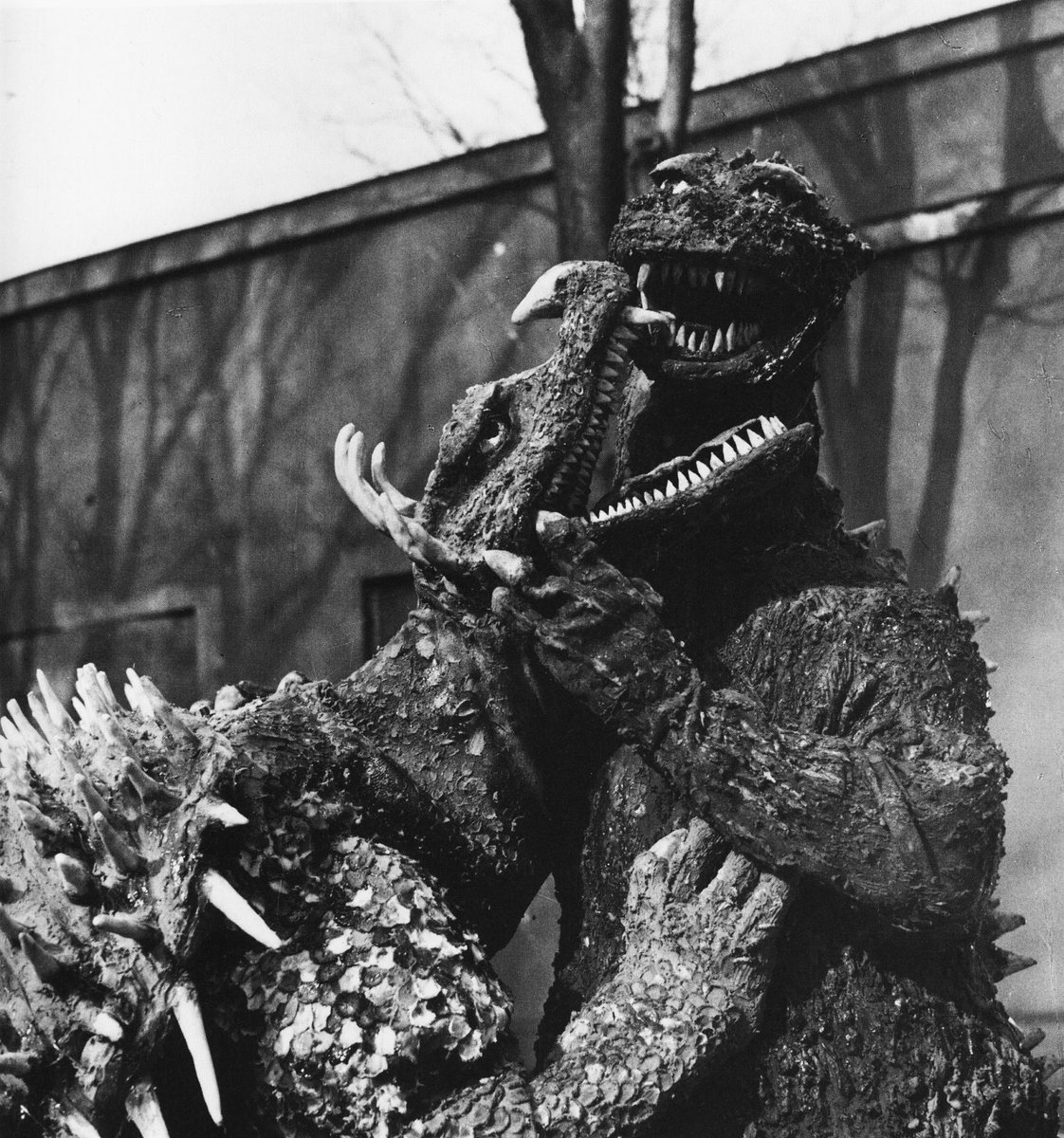 RT @Godzilla_shots: From Godzilla Raids Again(1955) https://t.co/tbkQnpemjw