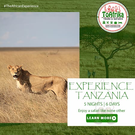 Experience the magic of Tanzania and witness incredible wildlife and stunning landscapes. This includes the vast Serengeti and the breathtaking Ngorongoro Crater.

 For bookings: 
📲+254 – 748 717 387
📧info@toafrika.com

#Tanzania #Safari #Wildlife #Serengeti #NgorongoroCrater