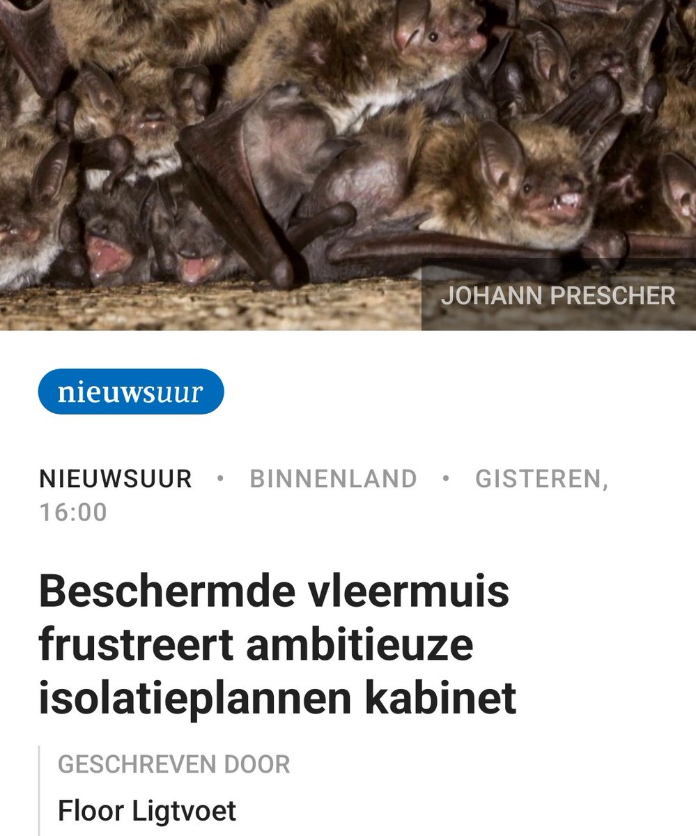 En tweet van 3 jaar geleden. Ambitieuze kabinetsplannen over #naisoolatie zijn gemaakt waarbij willens en wetens bescherming vleermuizen genegeerd is. Dit komt niet zomaar op nu <a href="/Nieuwsuur/">Nieuwsuur</a>, dit is al jaren bekend maar gewoon niet voldoende meegenomen in de plannen.