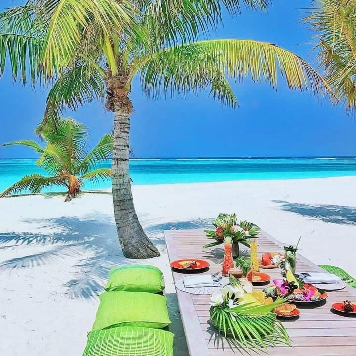 لمحبي الطبيعة وقضاء عطلة ممتعة ، العنوان الرئيسي هو جزر المالديف
🏝 ☀🌴🌊
#WaldorfAstoriaMaldives
 #MaldivesTourism50
 #WorldsLeadingDestination #Maldives #VisitMaldives #SunnySideOfLife
 #MaldivesLebanon