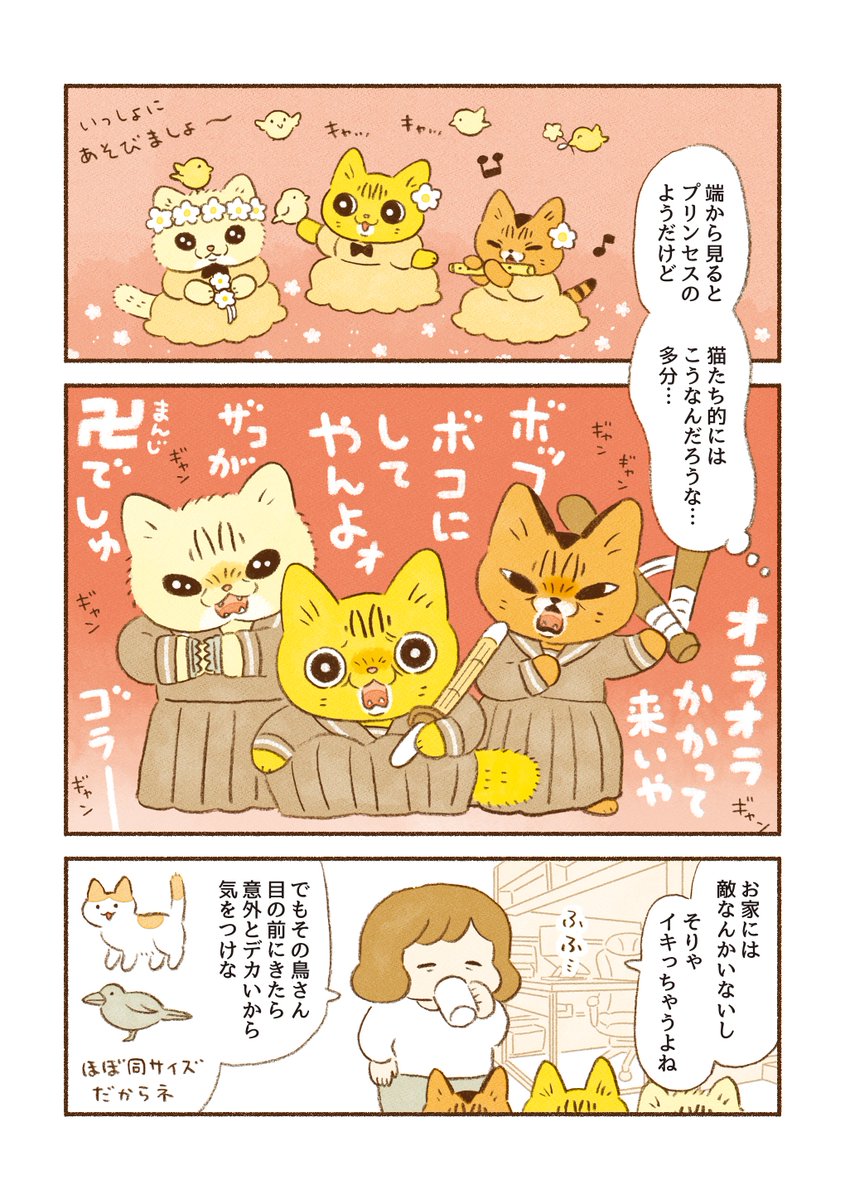 『オラオラ3姉妹』  3姉妹が鳥たちにオラオラするお話です🐱