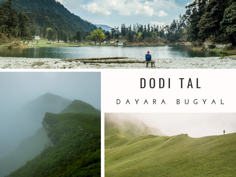 Timetoyatra's tweet image. Just returned from an incredible adventure trekking the Darwa Pass and Dayara Bugyal! The breathtaking views, pristine meadows, and challenging trails made it an unforgettable experience. Highly recommend these stunning destinations for all nature enthusiasts! 🌲⛰️ #india