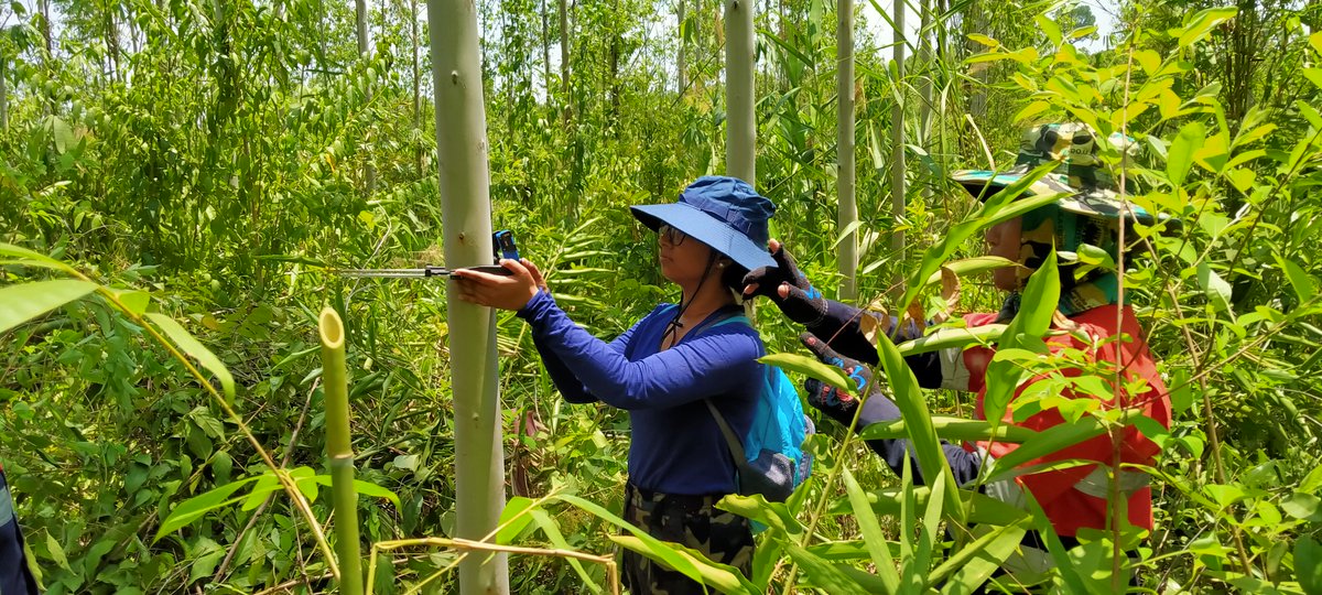 Earthood tweet media