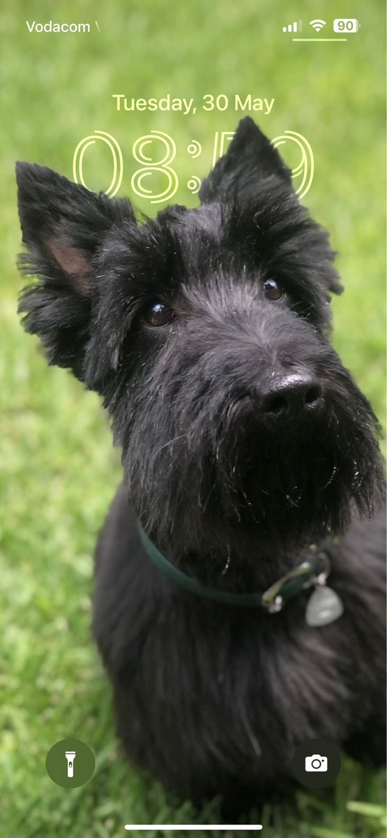 Warren Foxley tweet media