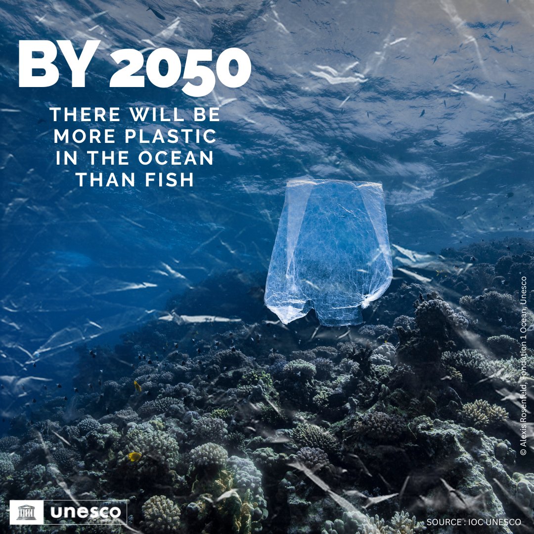 By 2050, there will be more plastic in the ocean than fish. 🐡🐠🐟

This alarming reality calls for immediate collective action.

Tag someone to take on the challenge to #SaveOurOcean!

on.unesco.org/3VMoJZF #PlasticPollution