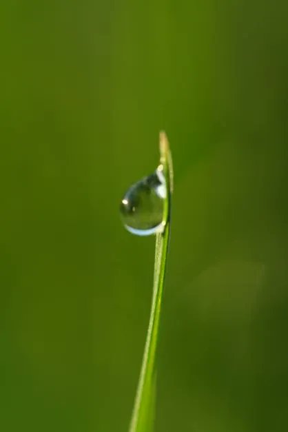 Jacqueline Harris tweet media