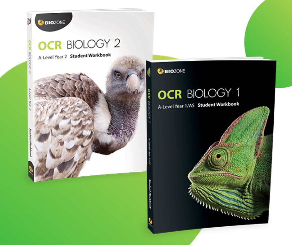 With over 225 activities, BIOZONE's OCR Worktexts are perfect for #ScienceEducation and #Biology enthusiasts. These resources help prepare for exam success.  Get ready to excel with BIOZONE's workbooks! 📚🔬🧬 #STEMlearning #ExamPreparation