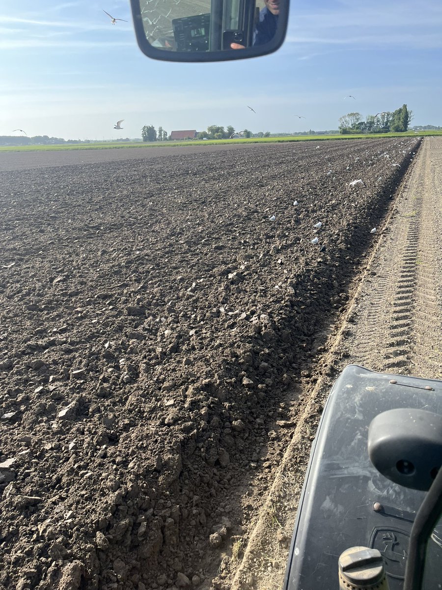 Rickjd3050's tweet photo. @markvanEssen1 @dickklokdealer Ja ploegde super, de omstandigheden en grond werkten ook wel heel erg mee. https://t.co/Z7b8P46fIc