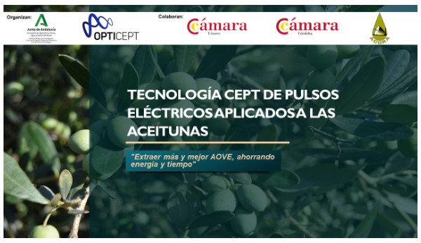 camaraofcordoba's tweet photo. JORNADA "Tecnología Cept de pulsos eléctricos aplicados a las #aceitunas"
📆 31 de mayo en el CENTRO IFAPA de #Cabra
👌Organiza: @IfapaJunta y @OptiCept
👌Colaboran: @CamaraLinares #Acora y @camaraofcordoba
✍ Inscripciones: https://t.co/4RQvfR3YvN https://t.co/Z13cli5Fl6
