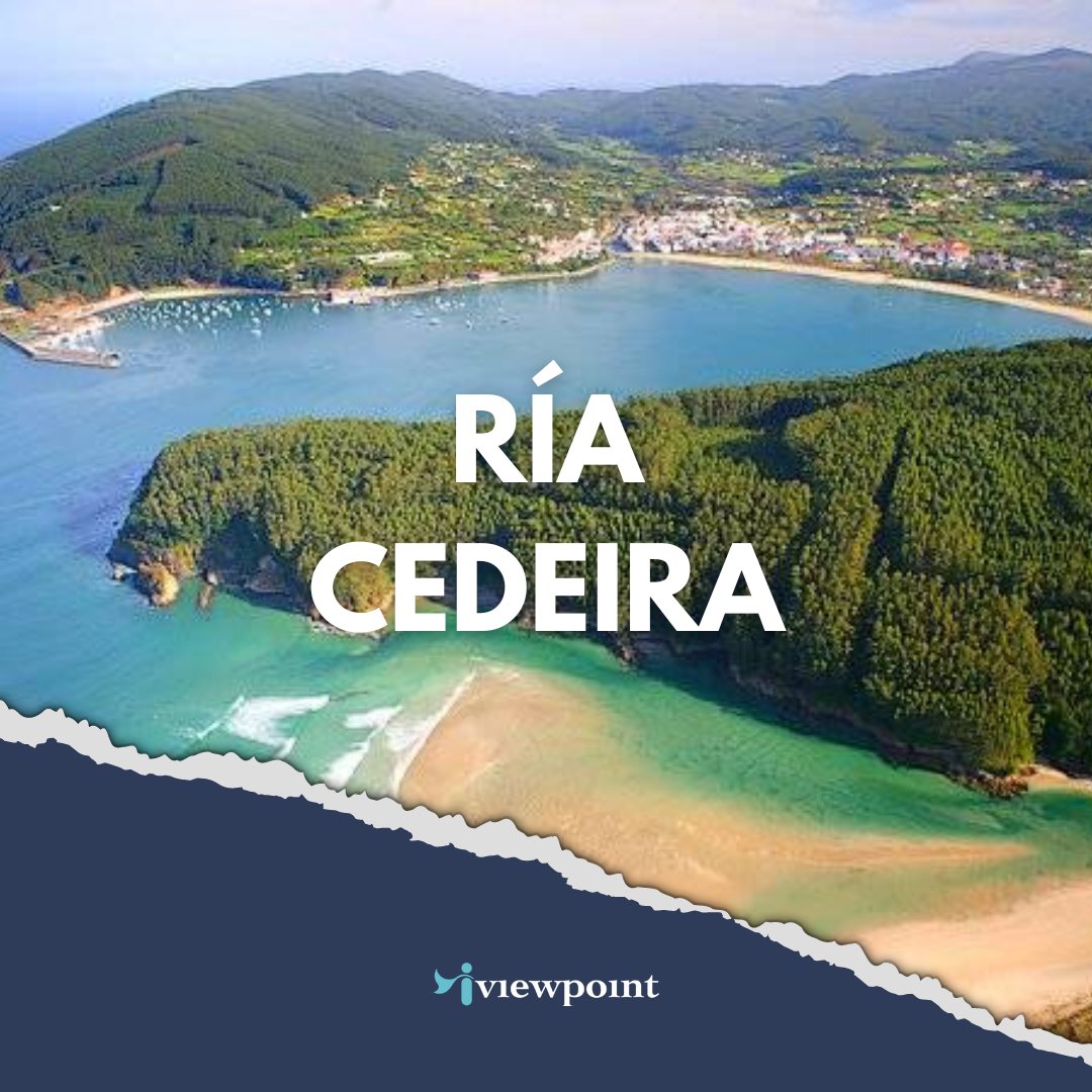 iviewpoint tweet media