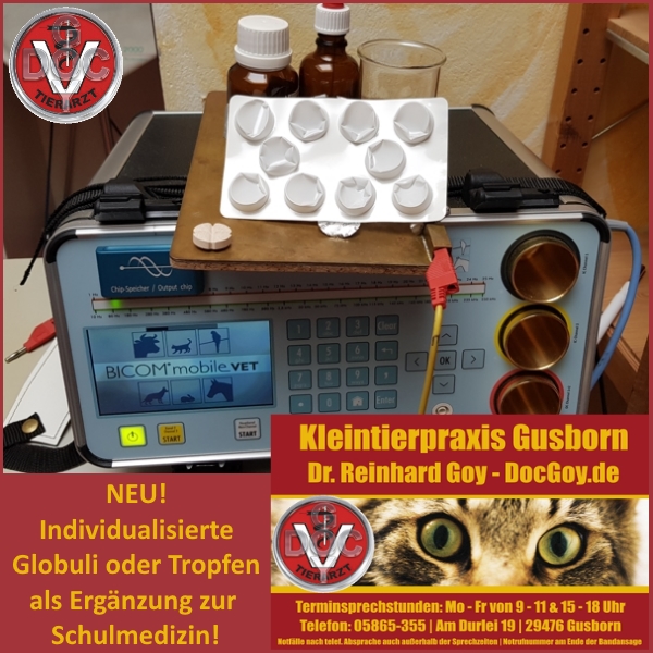 RT <a href="/docgoy/">Dr. Reinhard Goy</a>   Eine weitere neue Methode des Zusammenspiels von Schulmedizin und Bioresonanz: hund-katze-heimtier-kleintier.de/neue-methode-i… 🐕🐈