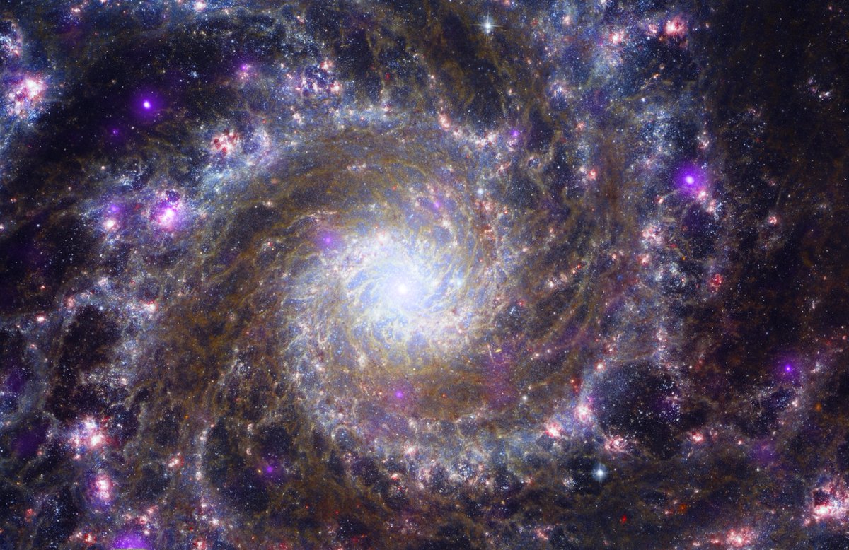 .
The Fantom Galaxy.

Chandra & Webb space telescopes combined.
.