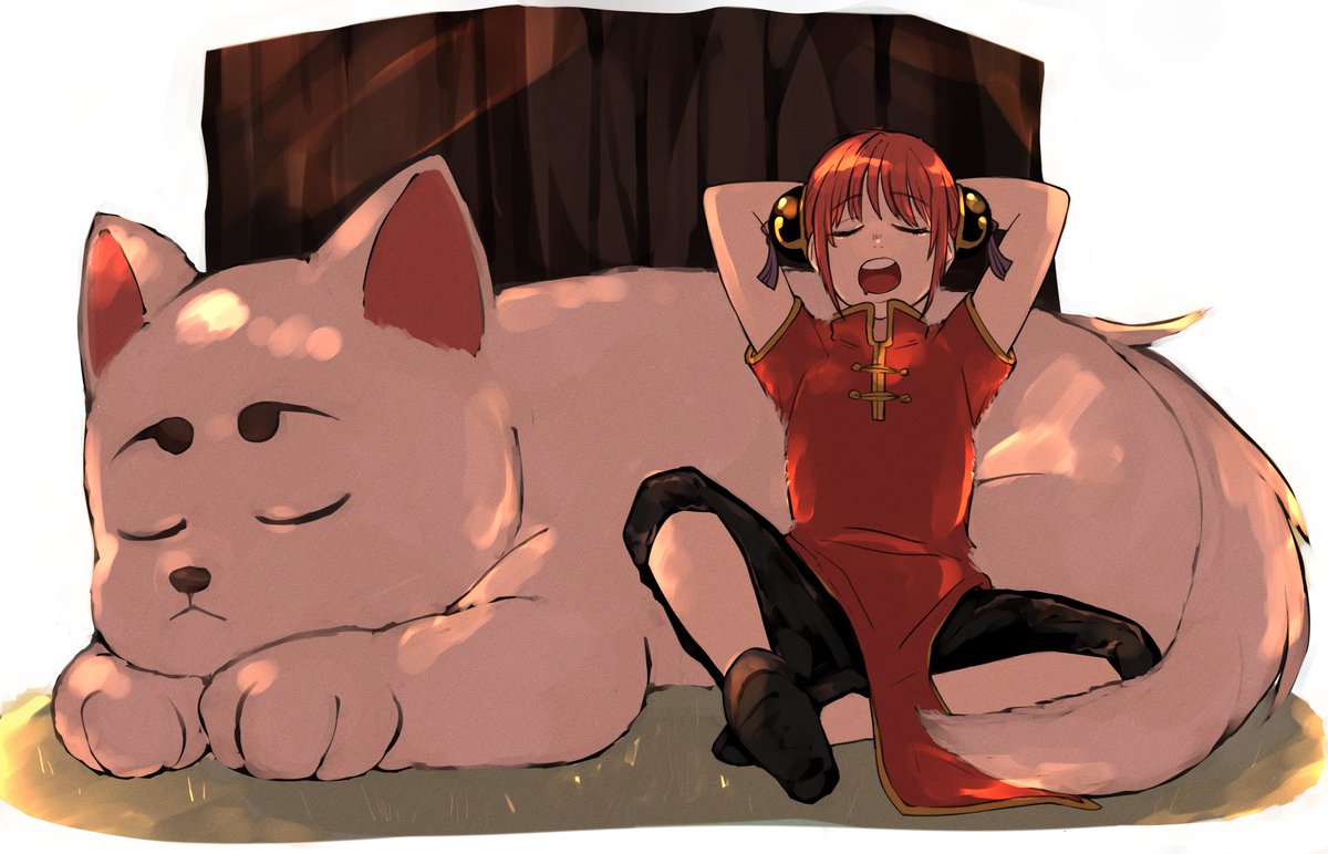 MARU86__'s tweet image. お昼寝