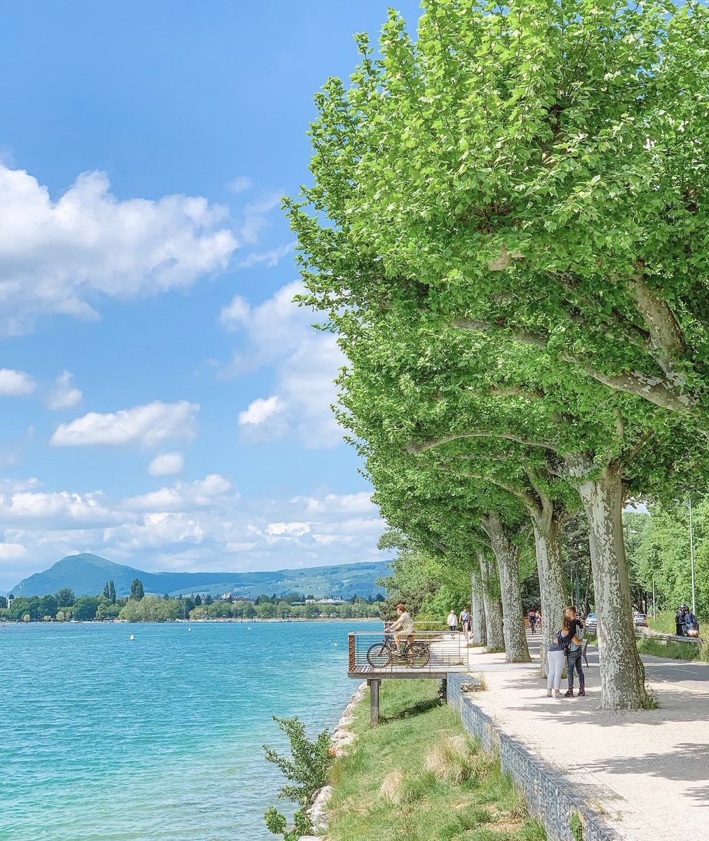 colangeloTest's tweet image. 