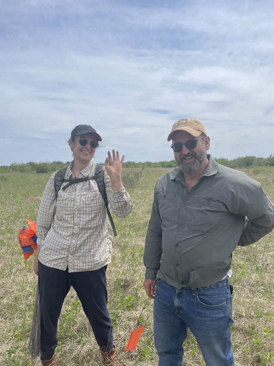 fieldwork sightings in N Minnesota- feat. a top tier field team