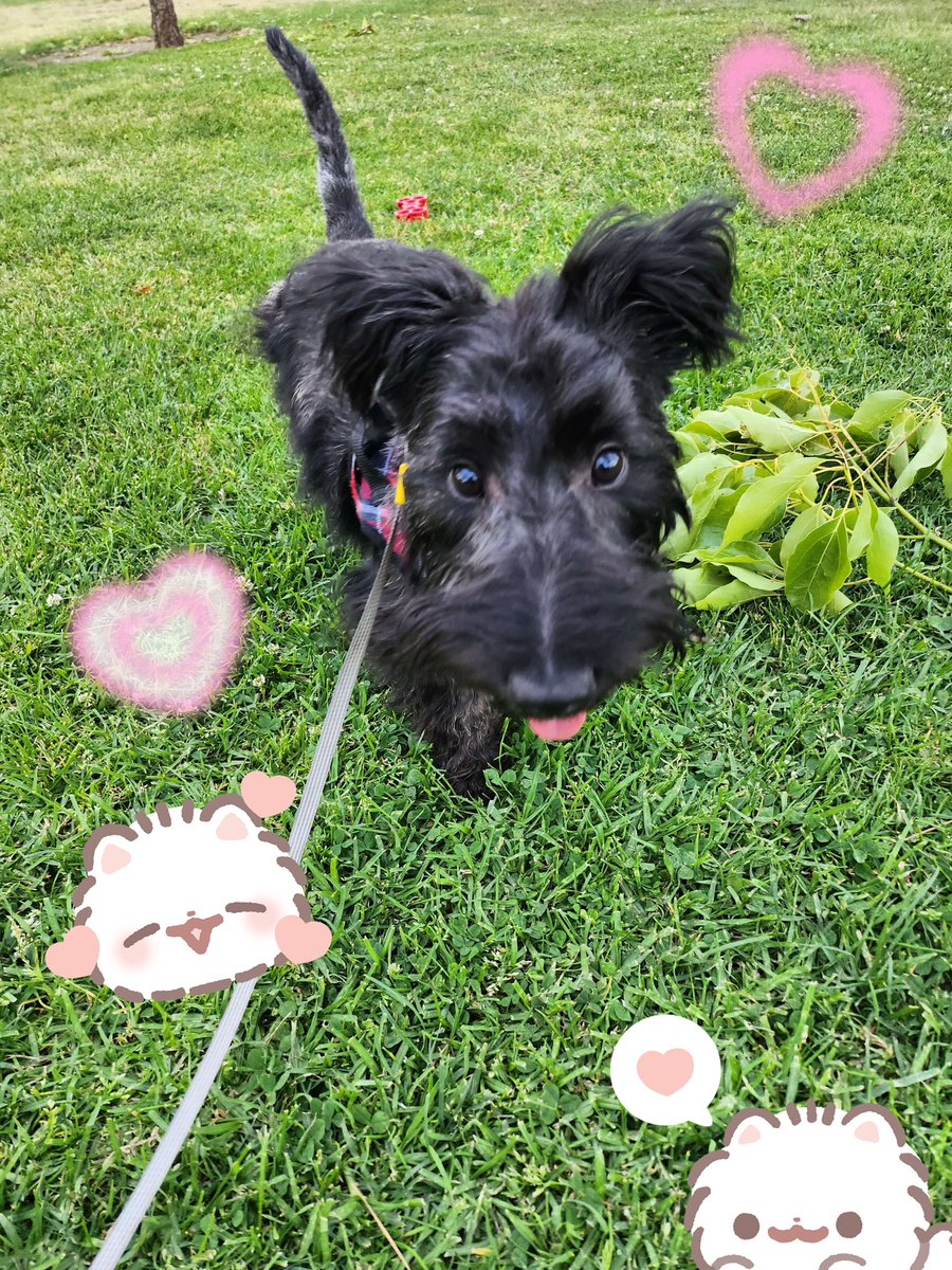 Archie! Look at my lil guy! 🥹💕💕