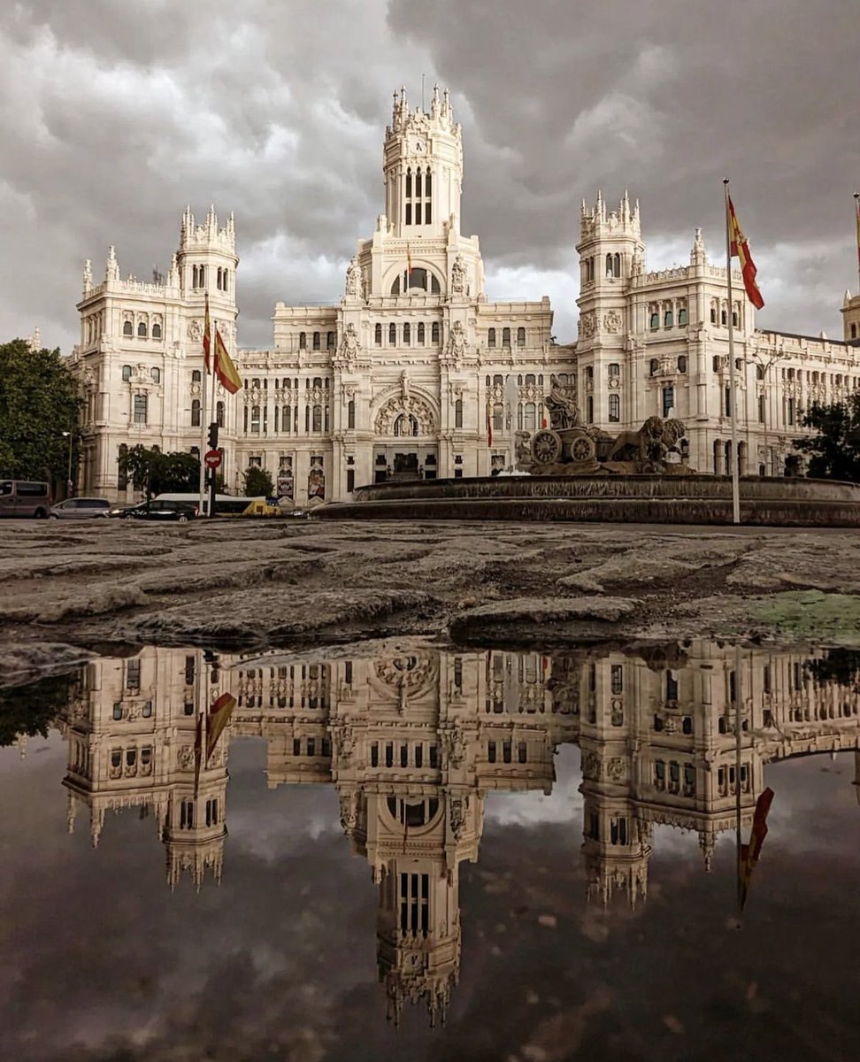 Aʟᴇ Lᴇ tweet media