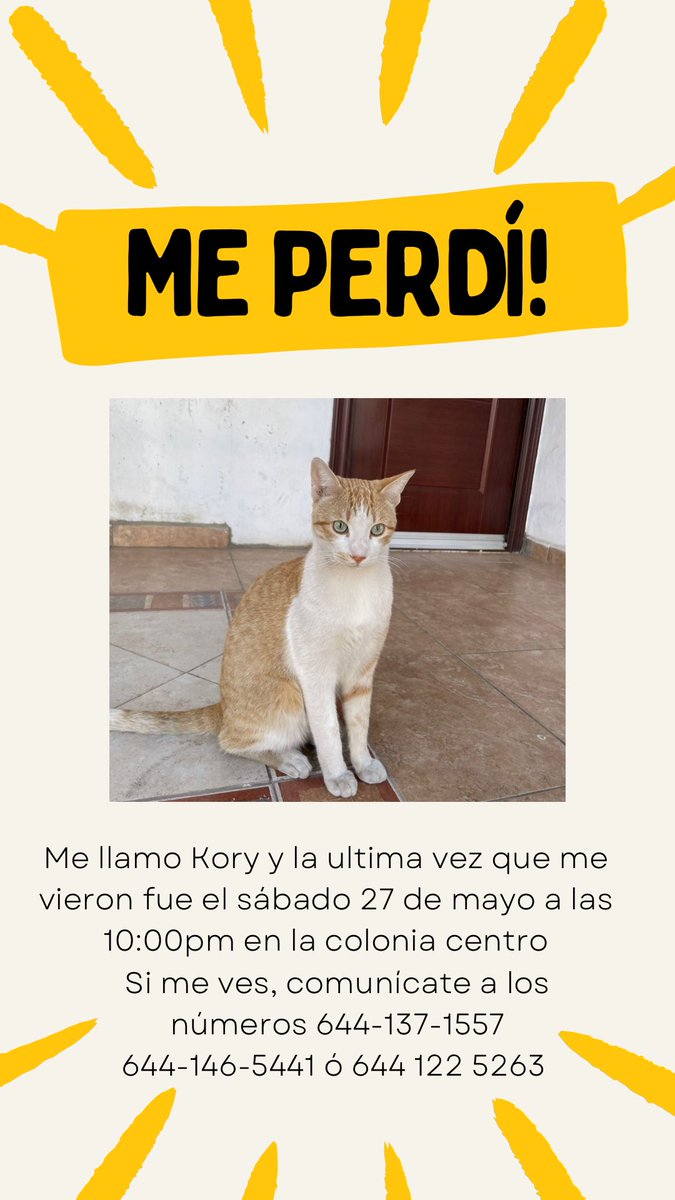 Vuelve por favor!!😭😭