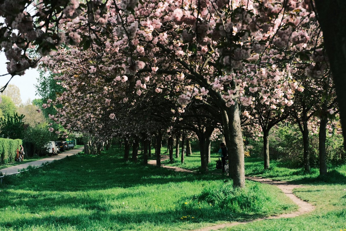 Some of my Favourites from the Past Few Months, I post most of my stuff on Instagram but wanna start doing Twitter dumps every so often for the full image size😁