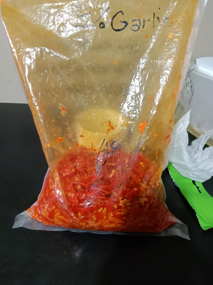 Fermenting Thai chilies in a vacuum bag.
This method ROCKS.