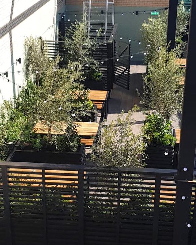 We love helping clients embrace their outdoor space too 🌿🌳🍀 

Rooftop oasis, Devonshire house, Sheffield 🌞

#commercialinteriors  #interiordesign #officedesign #officeinteriors #officefitout #officefurniture #leeds #yorkshire #designandbuild #fitout #refurbishment