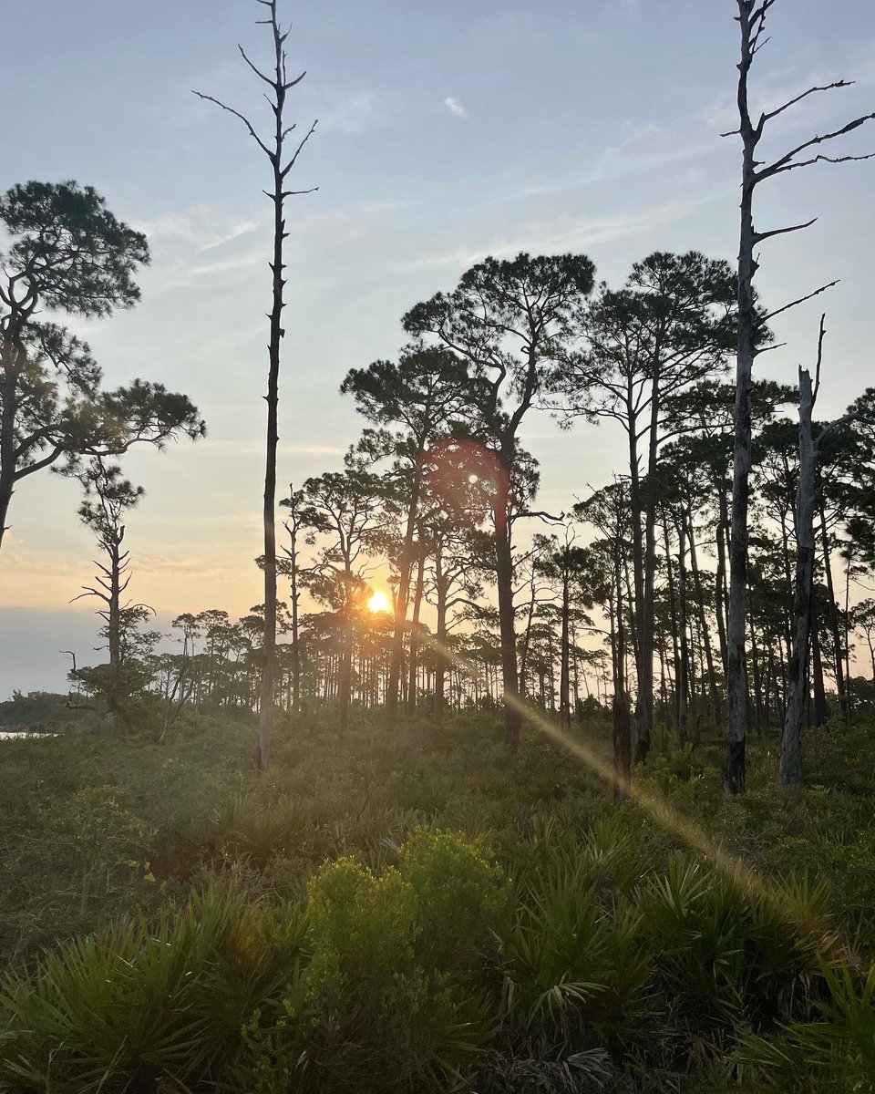 Memorial Day is a special day to give back. I’ve been rucking 50 miles with 50 lbs for <a href="/SoldierSuicide/">Stop Soldier Suicide</a> in May - up to 47.81 this morning over terrain in Gulf Shores. <a href="/MATBOCK_Origins/">MATBOCK</a> <a href="/Nike/">Nike</a> <a href="/PeachyRuns/">Big Peach Running Co</a> <a href="/goodr/">goodr</a> <a href="/smartwater/">smartwater</a> donate here: tinyurl.com/DonateStopSold…