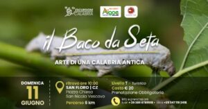 jblasa's tweet photo. π’π’π’ IL BACO DA SETA Arte di una Calabria antica
π
Domenica 11 Giugno 2023
#ilbacodaseta #artecalabria #sanfloro #catanzaro #2023 #rispettalacalabria #eventicalabria #calabria #escursionicalabria #calabriatour #jblasa
https://t.co/mDXzBnXzaT https://t.co/o5oomnLe9t