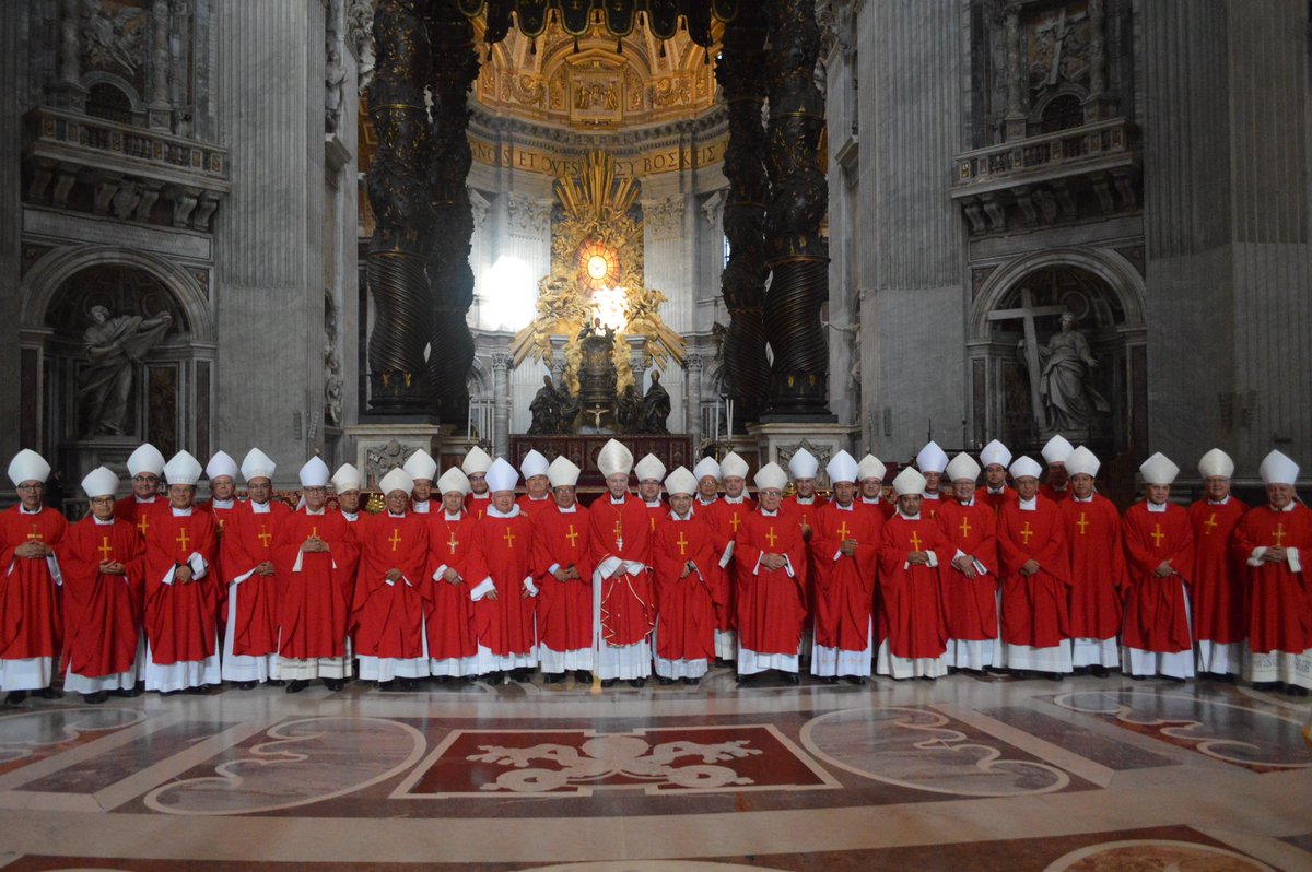 La Visita Ad Limina significa "Hasta los umbrales de los apóstoles", es la obligación que tienen todos los obispos del mundo de visitar en determinados momentos, "los umbrales de los Apóstoles" santos Pedro y Pablo, y encontrarse con el Papa para dar un informe sobre su diócesis.