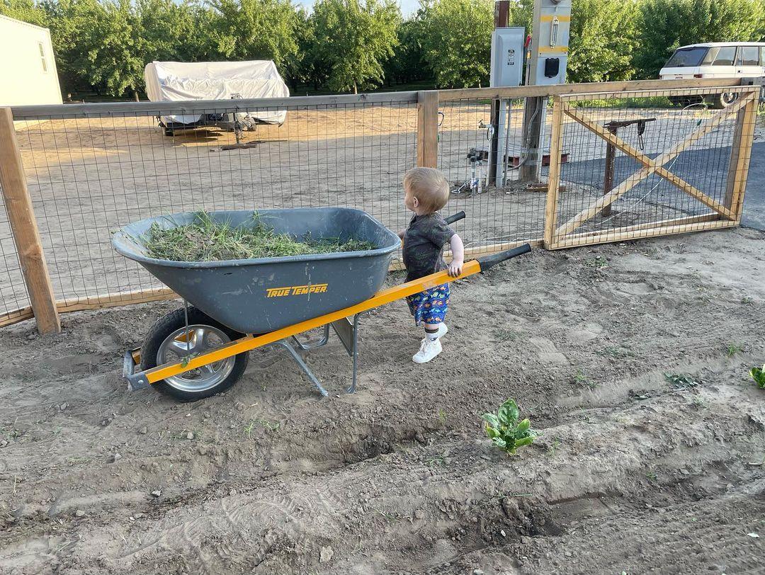 KevinHauschel's tweet photo. Finally was home and got a chance to hang out in the garden with little man!!! He did his part weeding, irritation maintenance, and picking out rocks!!! #Family #GrowingUpToFast #GreenThumb #HomeGarden https://t.co/SyuqmHnExv