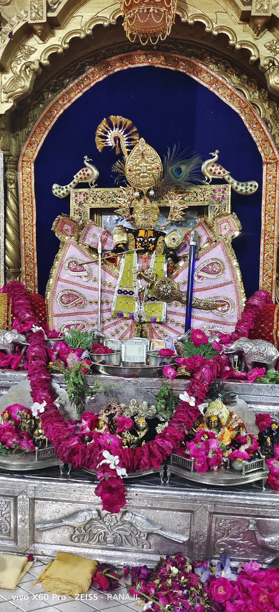 श्री सांवलिया सेठ की जय (आज के दर्शन) 30 मई