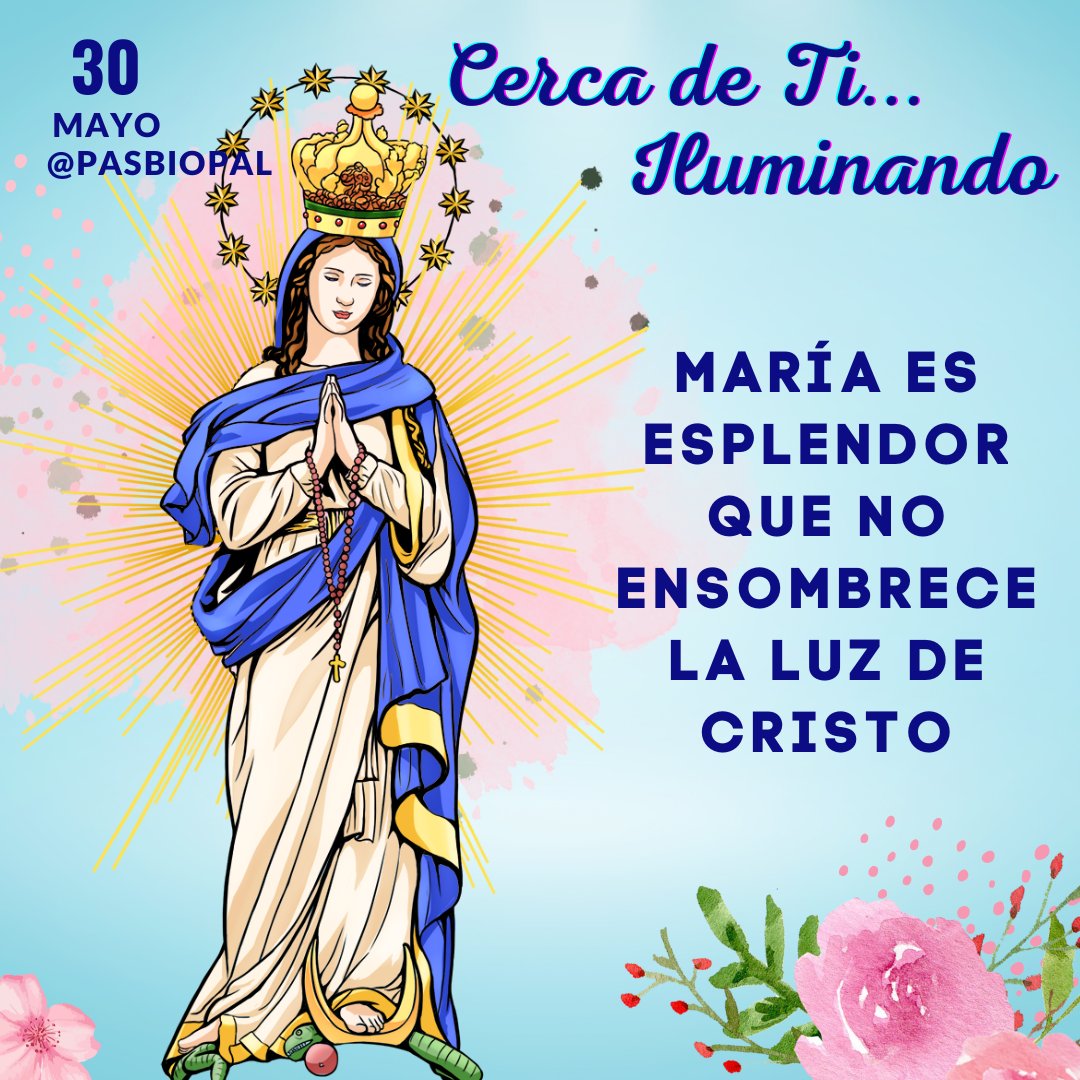 Norka_Risso's tweet photo. *
🕯 En este MES DE MARÍA: 'CERCA DE TI... ILUMINANDO'
#pasbiopal #Evangelización #OremosJuntos #Mayo2023 #CercaDeTi #Iluminando #VirgenMaría #MesDeMaría #vitaminasparaelalma #farolillosespirituales https://t.co/dLTkjtM10e