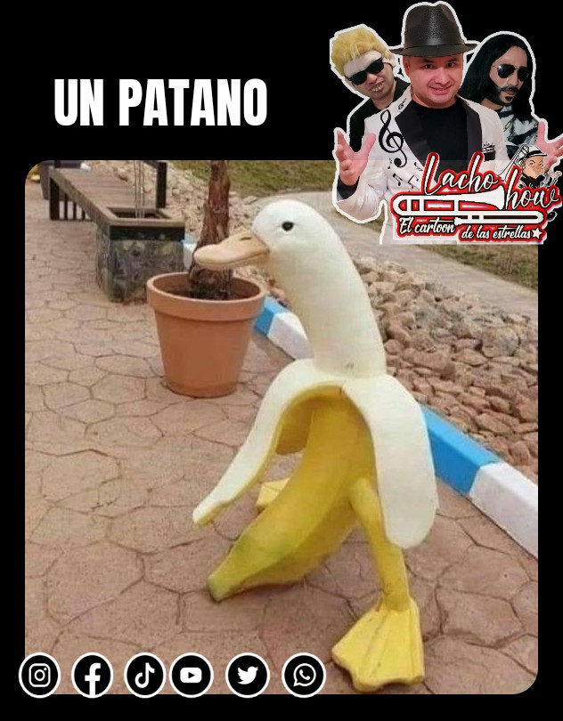#comediantedemonterrey #comediantesmexicanos #comediantesdemonterrey #comedyshow #comedymemes #comedybar #humornegro #humormexicano #comediahumor #comedia #comedian #lachoshow #comedy #memesgraciosos #memesespañol #meme #comediante #momo #momos #memes #platano #pato #fusion #mix
