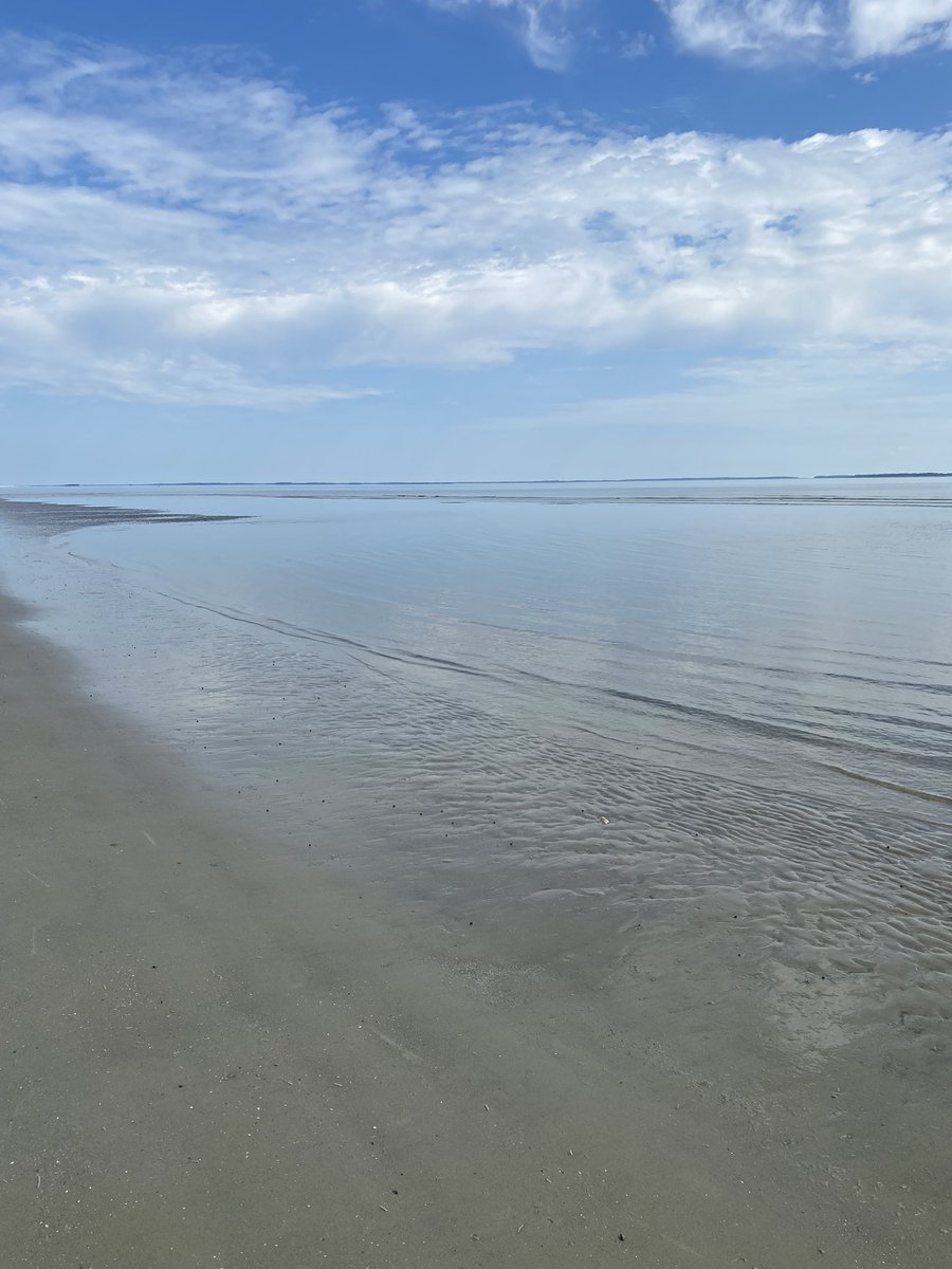 taburrell's tweet image. Pictures are finally up of our humble Oceanside abode ☺️ We are still accepting direct bookings! The last week of June is still available and several week days in July! Reserve some quality beach time now 😎🏝️🫶🏻 DM for more details on availability. #harborislandsc