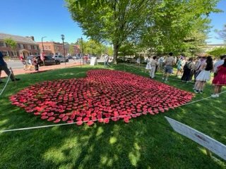 Lexington marked #MemorialDay2023 with music and poppies.  From the first shots fired at the Battle Green to present days, we honored the courageous heroes who made the ultimate sacrifice to make and keep America. Home of the free, because of the brave.